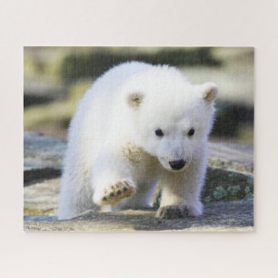 Cutest Baby Animals   Baby Polar Bear Cub Jigsaw Puzzle