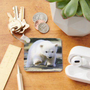 Cutest Baby Animals Baby Polar Bear Cub Key Ring