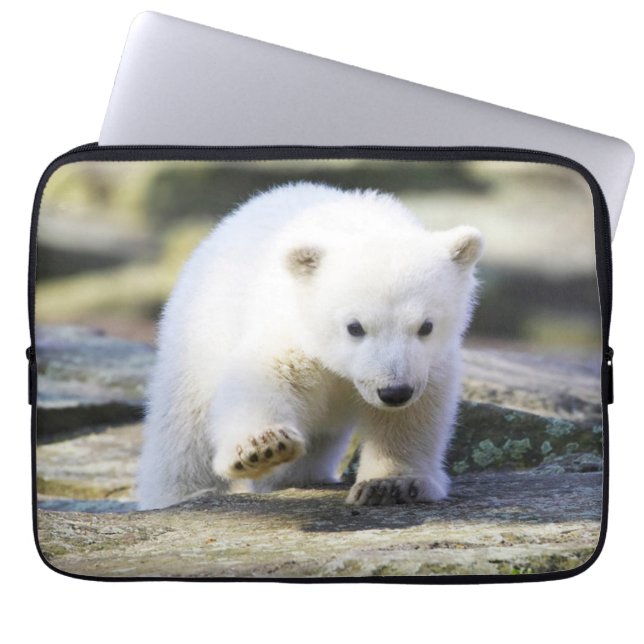 Cutest Baby Animals | Baby Polar Bear Cub Laptop Sleeve (Front)