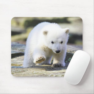 Cutest Baby Animals Baby Polar Bear Cub Mouse Mat