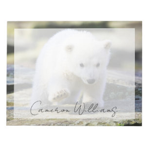 Cutest Baby Animals   Baby Polar Bear Cub Notepad