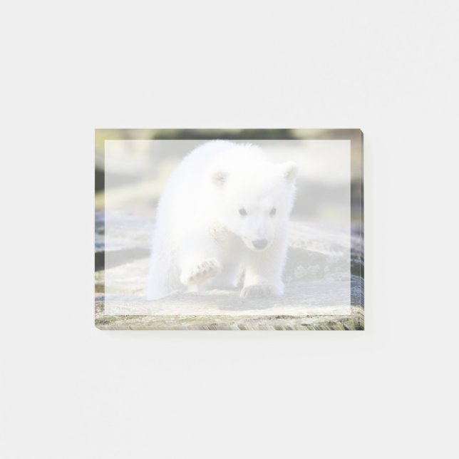 Cutest Baby Animals | Baby Polar Bear Cub Post-it Notes (Front)