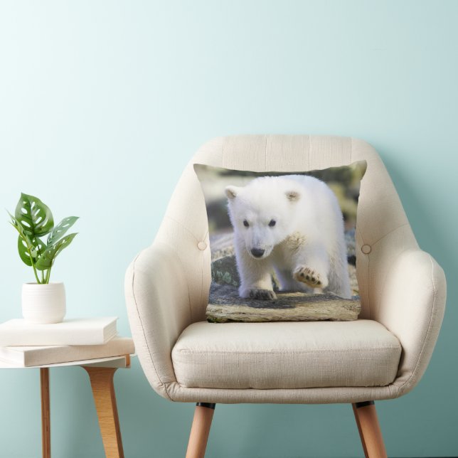 Cutest Baby Animals | Baby Polar Bear Cushion (Chair)