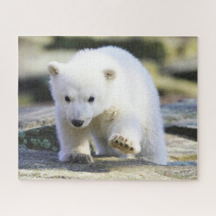 Cutest Baby Animals   Baby Polar Bear Jigsaw Puzzle