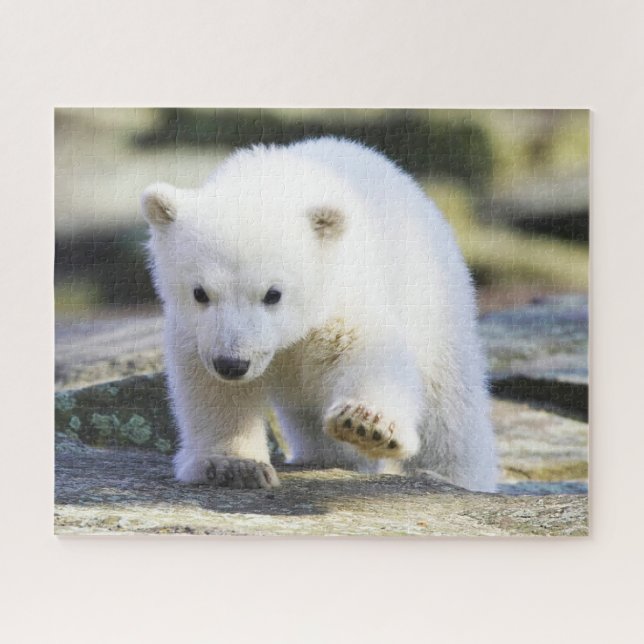 Cutest Baby Animals | Baby Polar Bear Jigsaw Puzzle (Horizontal)