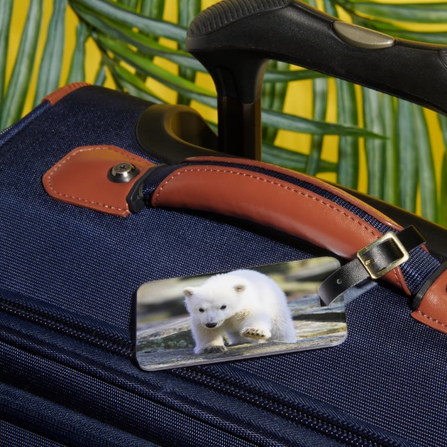 Cutest Baby Animals | Baby Polar Bear Luggage Tag (Front Insitu 3)