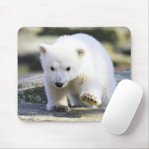Cutest Baby Animals   Baby Polar Bear Mouse Mat