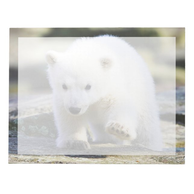 Cutest Baby Animals | Baby Polar Bear Notepad (Front)