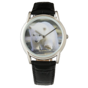 Cutest Baby Animals Baby Polar Bear Watch