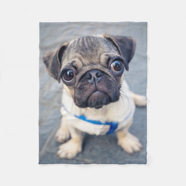 Cutest Baby Animals | Baby Pug Fleece Blanket (Front)