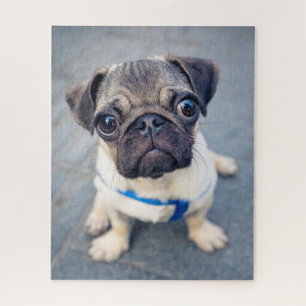 Cutest Baby Animals   Baby Pug Jigsaw Puzzle