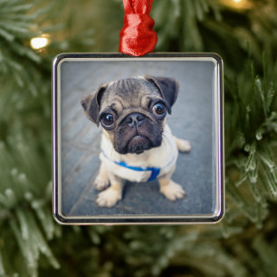 Cutest Baby Animals   Baby Pug Metal Tree Decoration