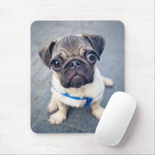 Cutest Baby Animals Baby Pug Mouse Mat