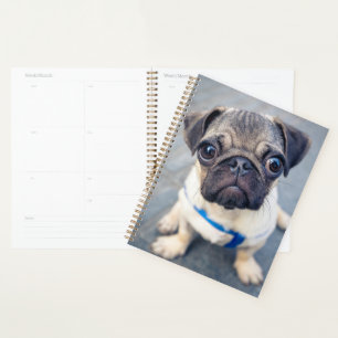 Cutest Baby Animals Baby Pug Planner