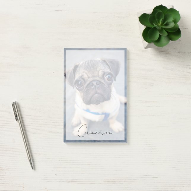 Cutest Baby Animals | Baby Pug Post-it Notes (Office)