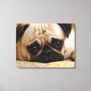 Cutest Baby Animals Baby Pug Puppy Canvas Print