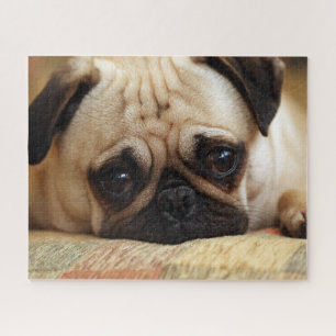 Cutest Baby Animals   Baby Pug Puppy Jigsaw Puzzle