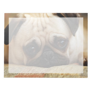 Cutest Baby Animals   Baby Pug Puppy Notepad