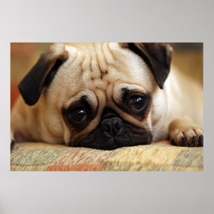 Cutest Baby Animals Baby Pug Puppy Poster