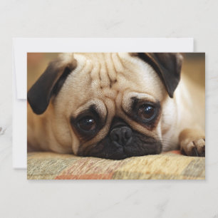Cutest Baby Animals   Baby Pug Puppy Thank You Card