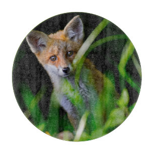 Cutest Baby Animals   Baby Red Fox Cutting Board