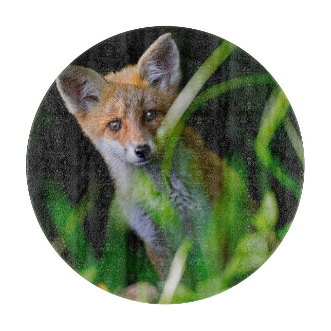 Cutest Baby Animals | Baby Red Fox Cutting Board (Front)