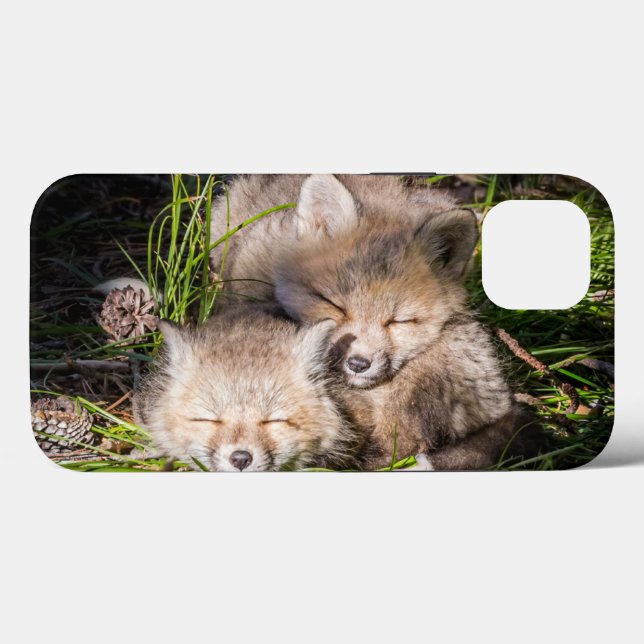 Cutest Baby Animals | Baby Red Fox Kits Sleeping Case-Mate iPhone Case (Back (Horizontal))