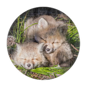 Cutest Baby Animals Baby Red Fox Kits Sleeping Cutting Board