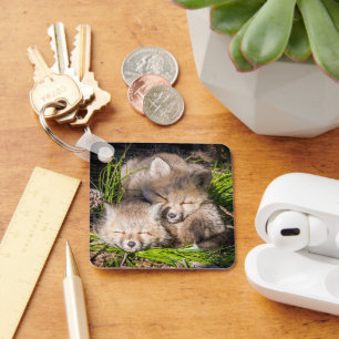 Cutest Baby Animals Baby Red Fox Kits Sleeping Key Ring