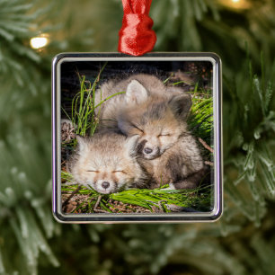Cutest Baby Animals Baby Red Fox Kits Sleeping Metal Tree Decoration