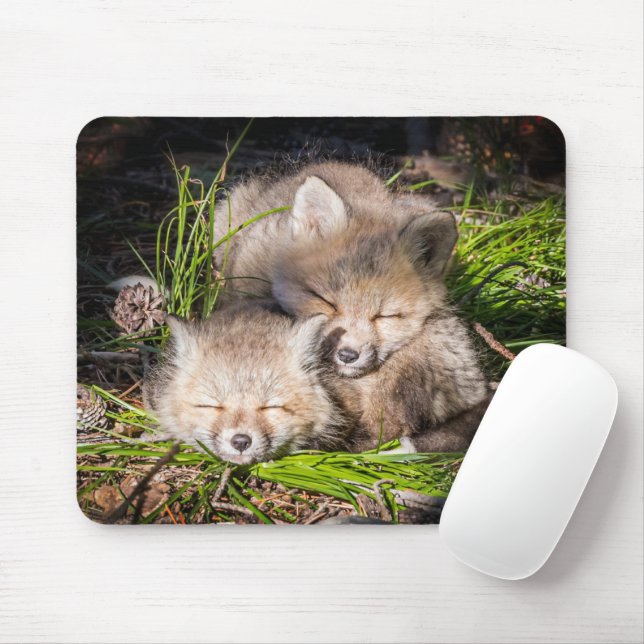 Cutest Baby Animals | Baby Red Fox Kits Sleeping Mouse Mat (With Mouse)