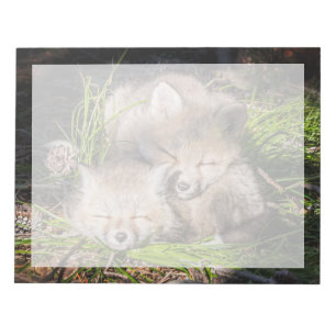 Cutest Baby Animals   Baby Red Fox Kits Sleeping Notepad