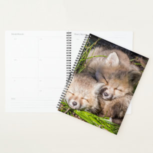 Cutest Baby Animals Baby Red Fox Kits Sleeping Planner