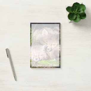 Cutest Baby Animals Baby Red Fox Kits Sleeping Post-it Notes
