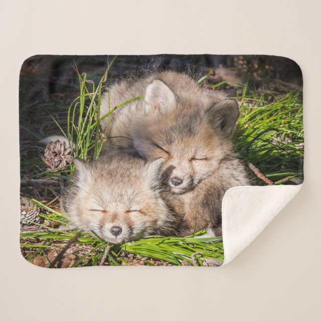 Cutest Baby Animals | Baby Red Fox Kits Sleeping Sherpa Blanket (Front (Horizontal))