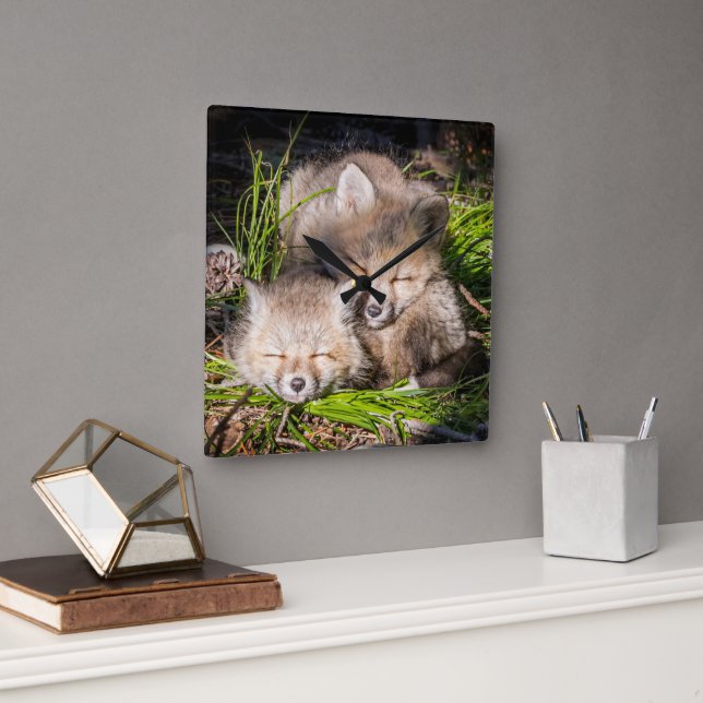 Cutest Baby Animals | Baby Red Fox Kits Sleeping Square Wall Clock (Office)