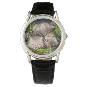 Cutest Baby Animals   Baby Red Fox Kits Sleeping Watch