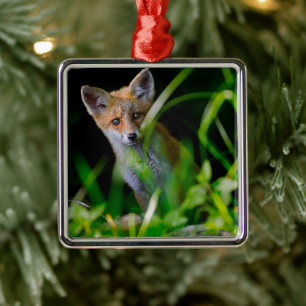 Cutest Baby Animals Baby Red Fox Metal Tree Decoration