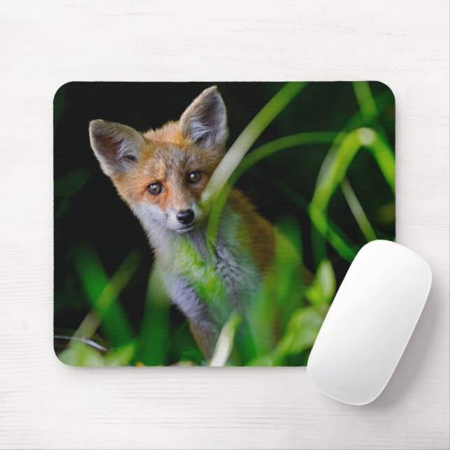 Cutest Baby Animals | Baby Red Fox Mouse Mat (With Mouse)