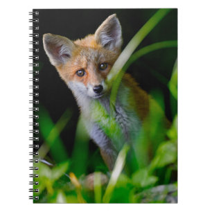 Cutest Baby Animals Baby Red Fox Notebook