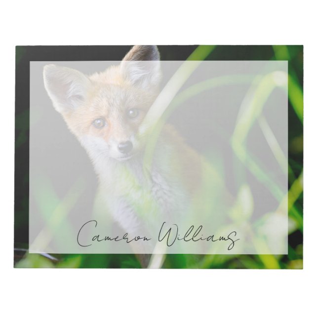 Cutest Baby Animals | Baby Red Fox Notepad (Front)