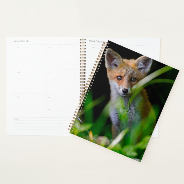 Cutest Baby Animals | Baby Red Fox Planner (Display)