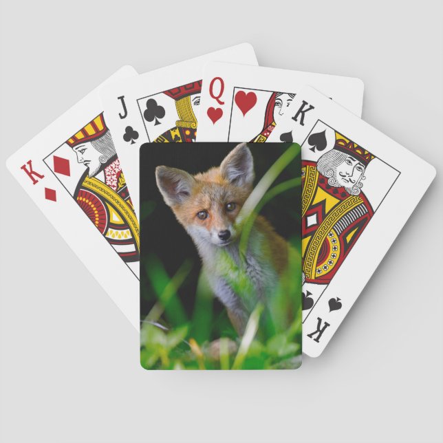 Cutest Baby Animals | Baby Red Fox Playing Cards (Back)