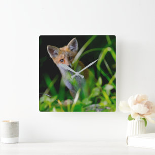 Cutest Baby Animals   Baby Red Fox Square Wall Clock