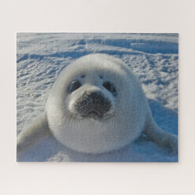 Cutest Baby Animals | Baby Seal Jigsaw Puzzle (Horizontal)