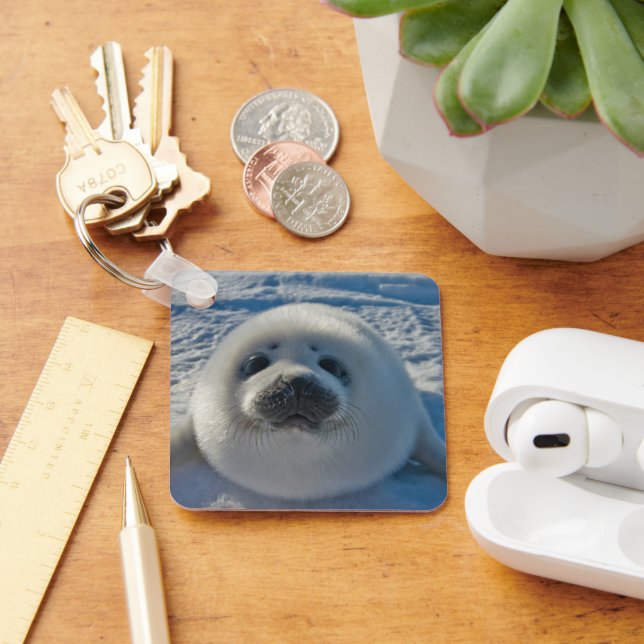 Cutest Baby Animals | Baby Seal Key Ring (Desk)