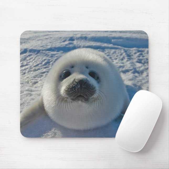 Cutest Baby Animals | Baby Seal Mouse Mat (With Mouse)