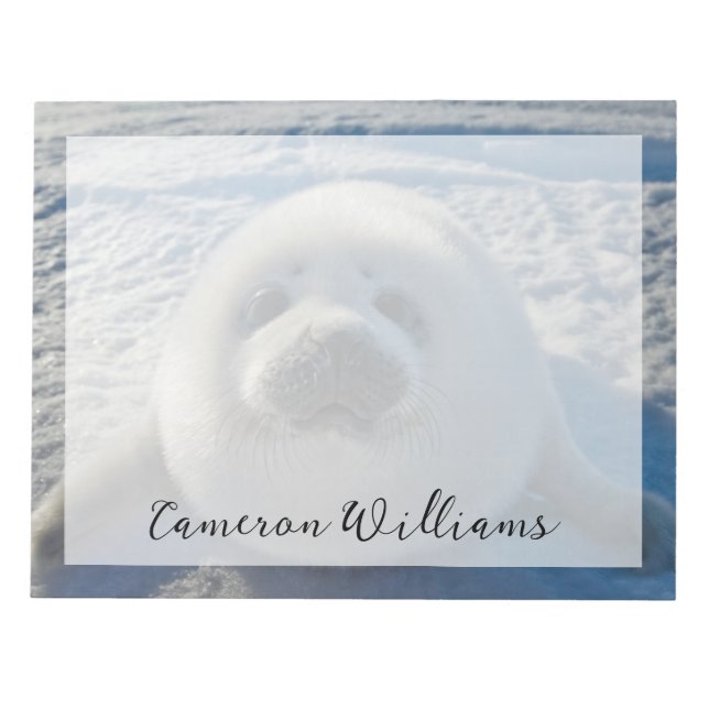 Cutest Baby Animals | Baby Seal Notepad (Front)