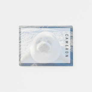Cutest Baby Animals   Baby Seal Post-it Notes