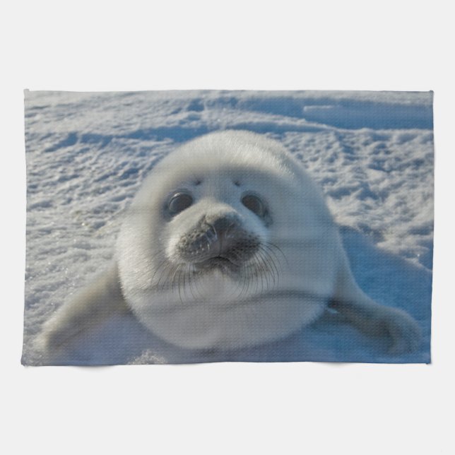 Cutest Baby Animals | Baby Seal Tea Towel (Horizontal)